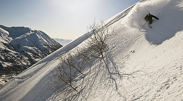 边远地区,滑雪者,粉状,转,阿拉斯加