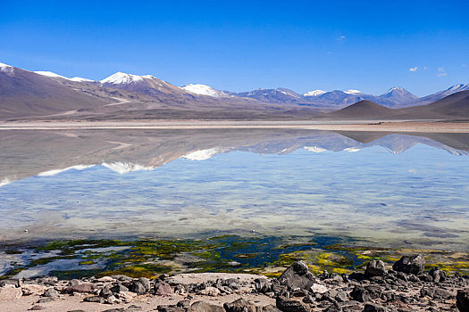 清晰,高原,泻湖,玻利维亚