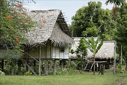 传统,乡村,住宅,巴布亚新几内亚,美拉尼西亚