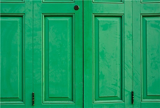 绿色,描绘,门