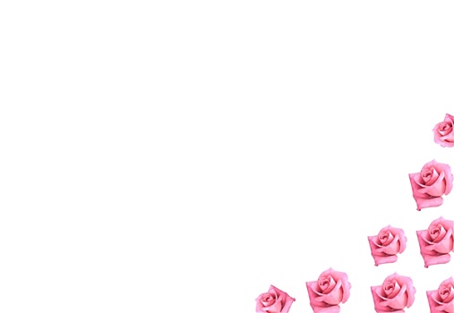粉色,玫瑰,花,边界,背景