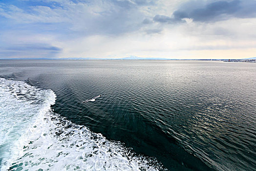 冬季北海道浮冰