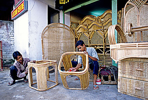 家具,岁月,节茎植物,流行,孟加拉
