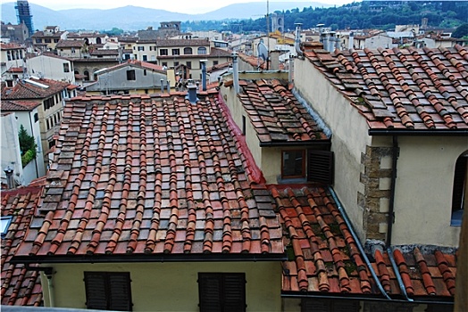 砖瓦,屋顶,佛罗伦萨,意大利