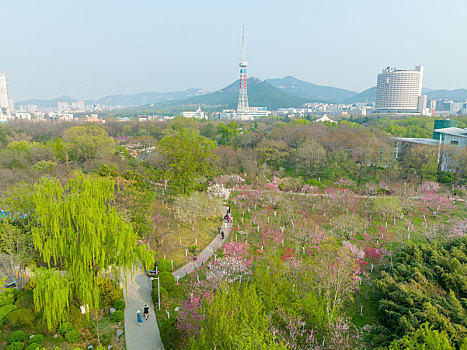 航拍济南泉城公园春暖花开