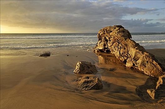 石头,海滩,富埃特文图拉岛,加纳利群岛,西班牙,欧洲