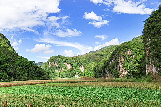 沧源风景