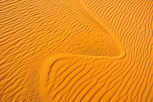 沙子,沙丘,撒哈拉沙漠,摩洛哥,非洲