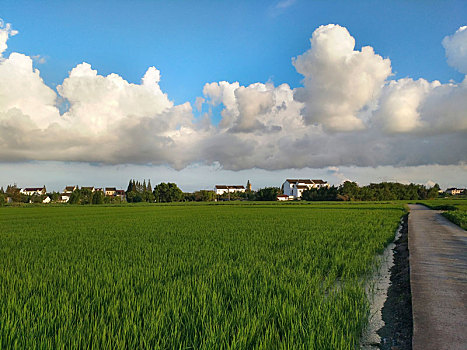 田园,田园风光,乡野