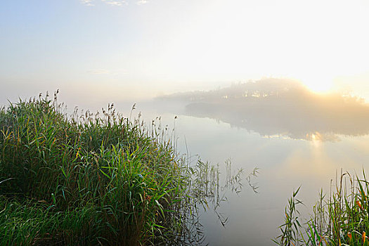 湖,日出,费施兰德-达斯-茨因斯特,梅克伦堡前波莫瑞州,德国