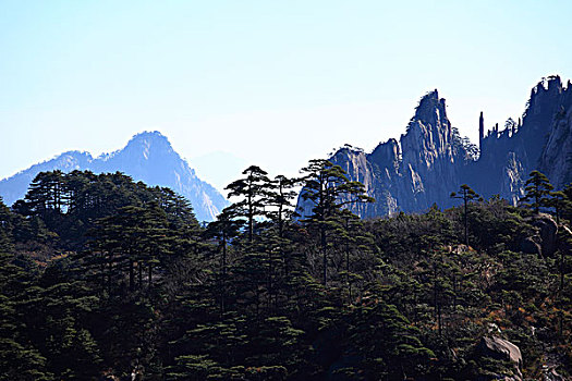 山,树木,岩石