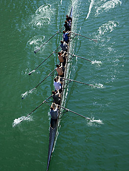 芝加哥河,男人,划船,团队