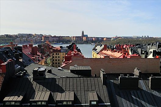 屋顶,脊,斯德哥尔摩,瑞典