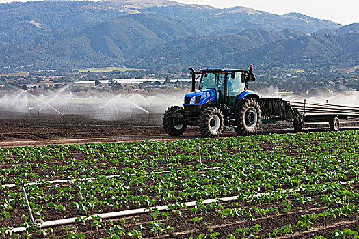 拖拉,新,灌溉,地点,加利福尼亚,美国
