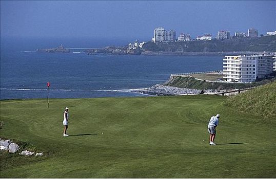 高尔夫球场,打高尔夫,海洋,海岸,大西洋,靠近,法国,欧洲