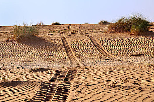 轮胎印,沙漠,沙子,路线,阿德拉尔,区域,毛里塔尼亚,非洲