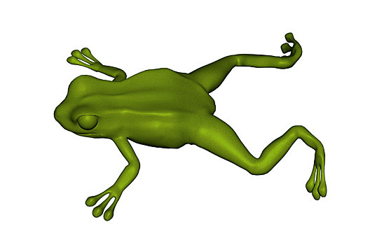 树蛙