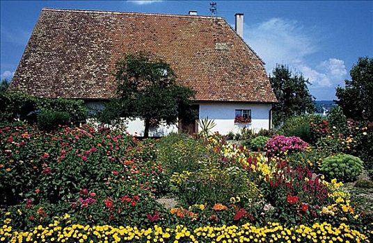 农舍,花园,花,夏天,赖兴瑙岛,博登湖区,德国,欧洲,世界遗产