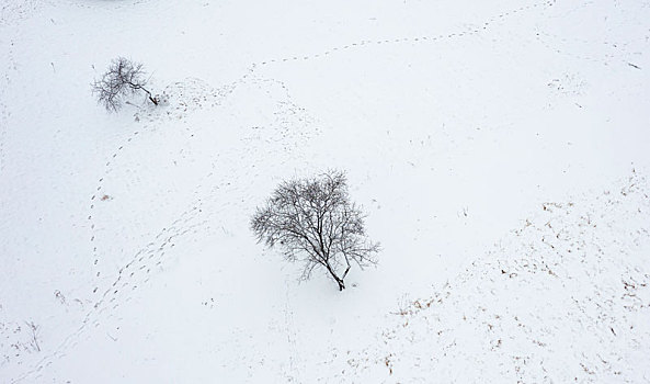 河南三门峡,公园雪后美景如画