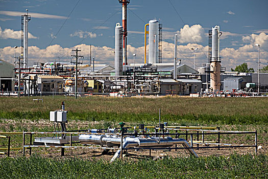 管道,汽油,工厂,背景,艾伯塔省,加拿大