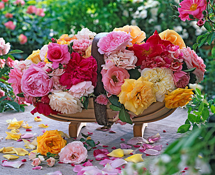 玫瑰插花,英式花园,篮子,床,玫瑰,黄色,粉色