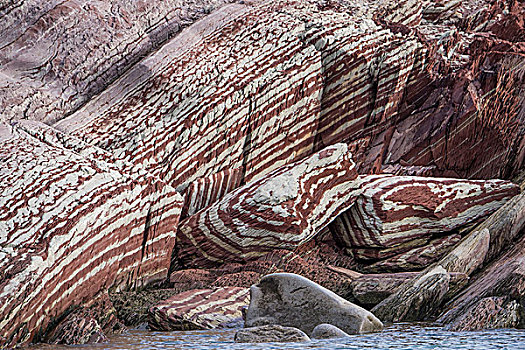 石灰石,色彩,红色,铁,白云石,峡湾,东北方,格陵兰,国家公园,北美