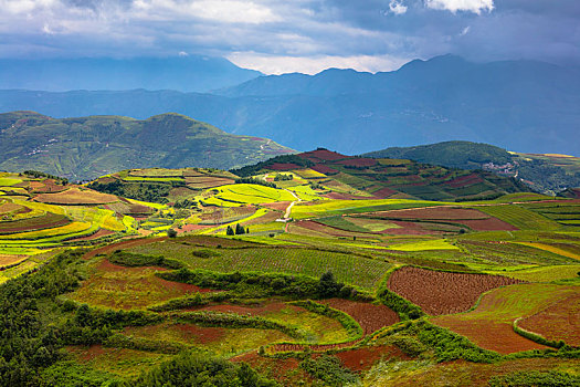 东川红土地的光,景,人