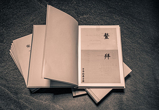 鳌拜古代名人经典书籍,中华名著古籍