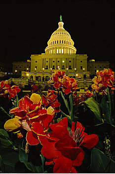 国会大厦建筑,夜晚,华盛顿,华盛顿特区,美国