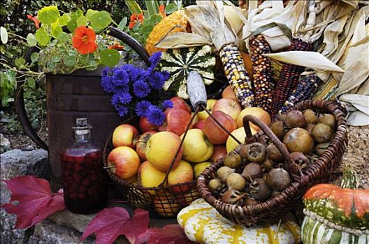 秋天,静物,甜玉米,苹果,南瓜,花