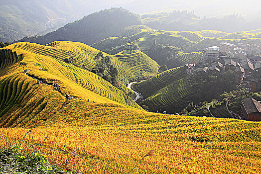 大美中国,桂林龙脊梯田秋色,09