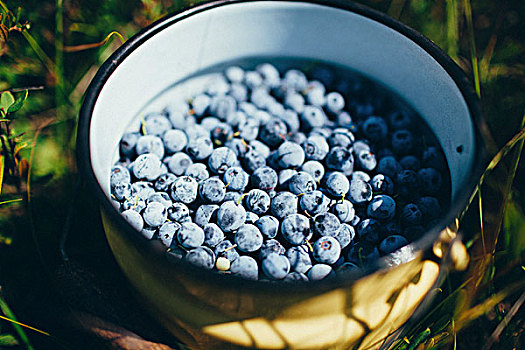 俯拍,新鲜,蓝莓,碗,地点