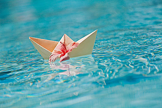 纸船,木槿,游泳池