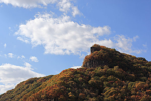 山,树木,秋天