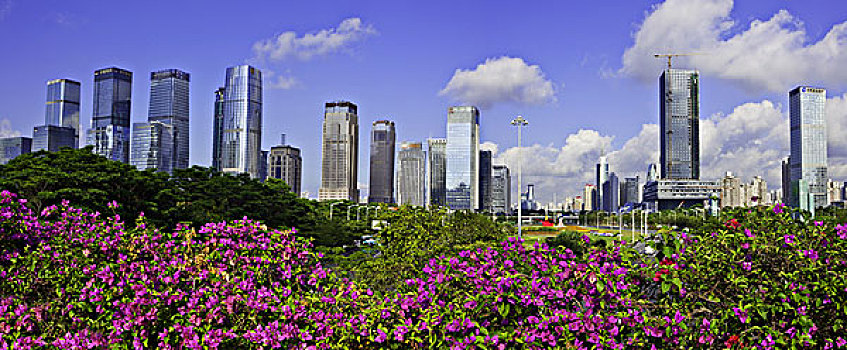 美丽的深圳市中心区全景图