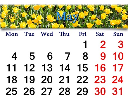 日程,五月,黄色,郁金香