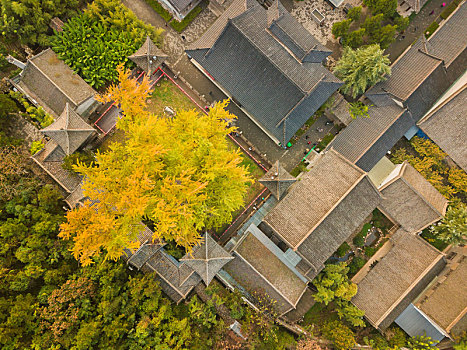 航拍西安古观音禅寺终南禅寺秋天景色