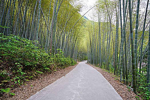 山村,民居,皖南