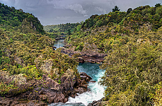 河,跑,遮盖,风景,陶波,新西兰
