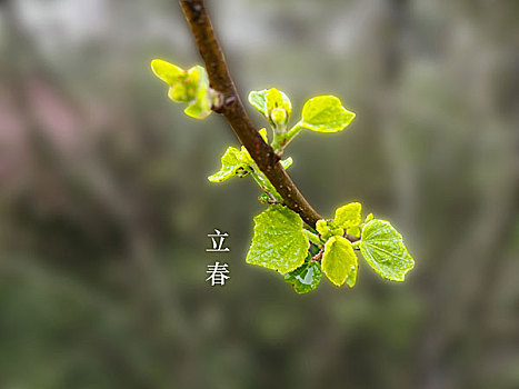 二十四節氣圖