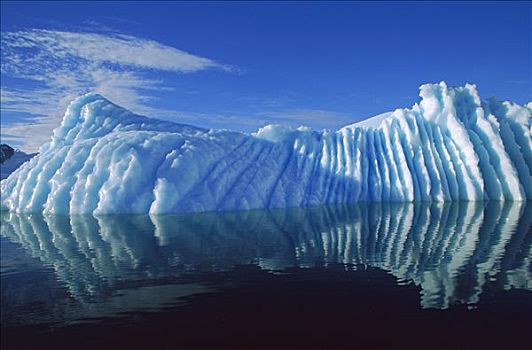 冰山,反射,展示,侵蚀,下面,天堂湾,南极半岛,南极