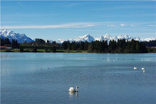 湖,风景,奥地利,德国,阿尔卑斯山,靠近