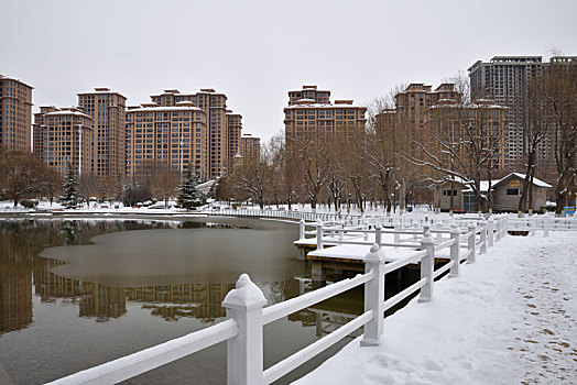 河北省石家庄市公园雪景