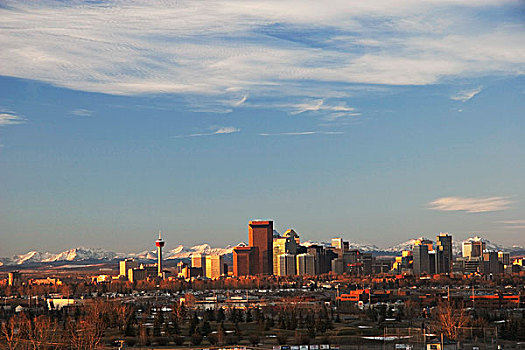城市天际线,山,背景,卡尔加里,艾伯塔省,加拿大