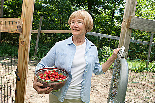 女人,拿着,滤器,草莓