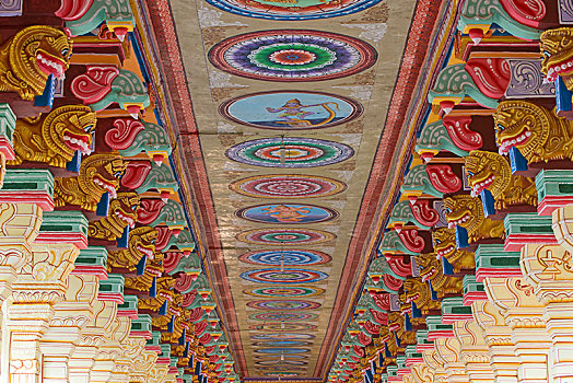 涂绘,柱子,天花板,庙宇,岛屿,泰米尔纳德邦,印度,亚洲
