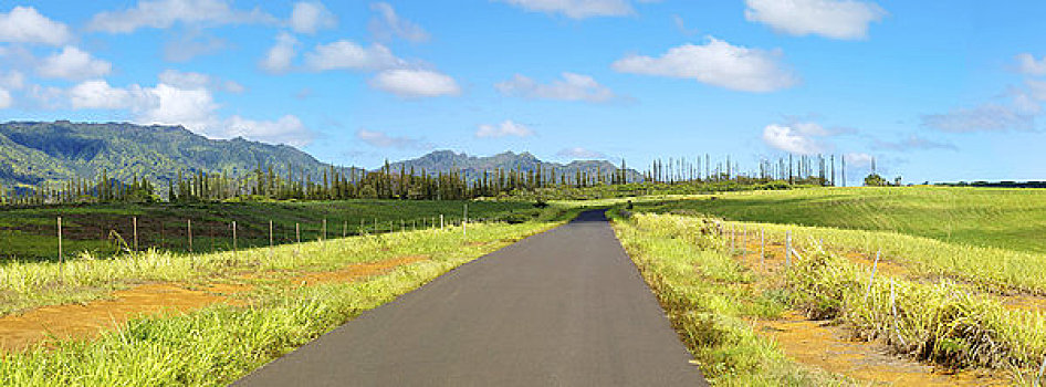 夏威夷,考艾岛,高地,全景,图像,北方,山脉,局部