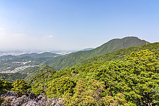 深圳梧桐山风光