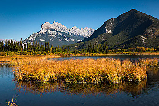 长的草,越来越多的,朱砂湖,随着,伦德山和硫磺山,班夫附近,班芙国家公园,阿尔伯塔,加拿大