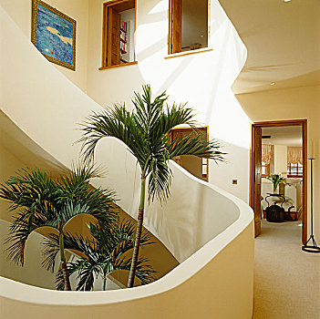 棕榈树,成长,中心,楼梯井,房子